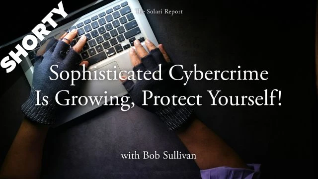 Sophisticated Cybercrime Is Growing: Protect Yourself! with Bob Sullivan - Shorty