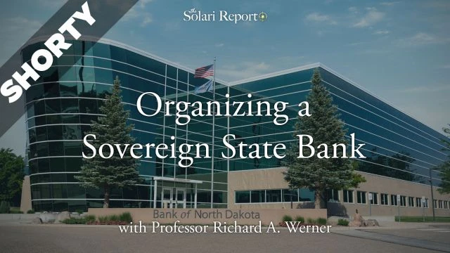 Organizing a Sovereign State Bank with Professor Richard A. Werner -  Shorty -January 7, 2025